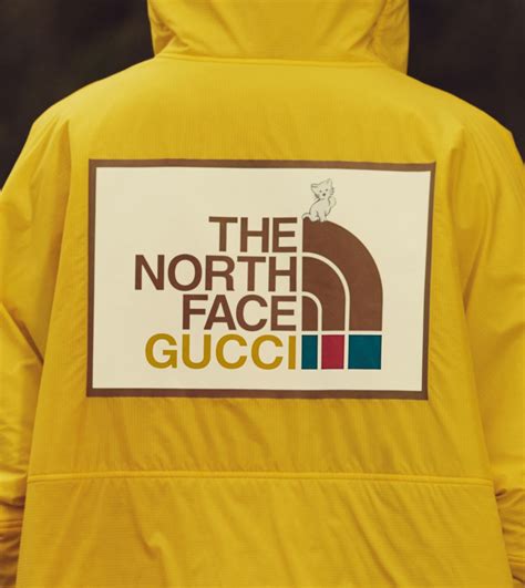 north facw gucci|Gucci north face shop.